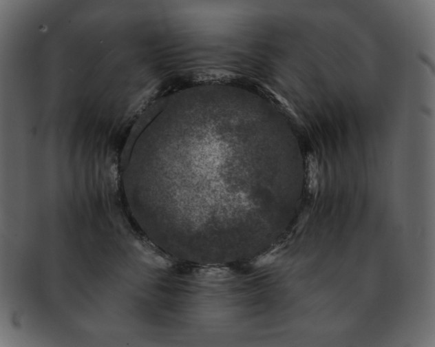 X0000093160716200709261509