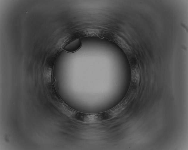 X0000093160717200709261509