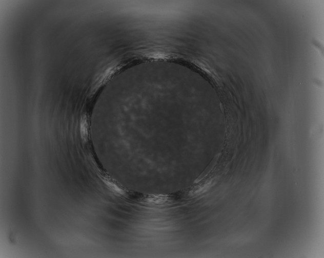 X0000093160720200709261509