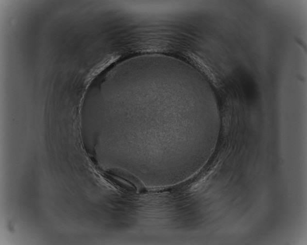 X0000093160721200709261508