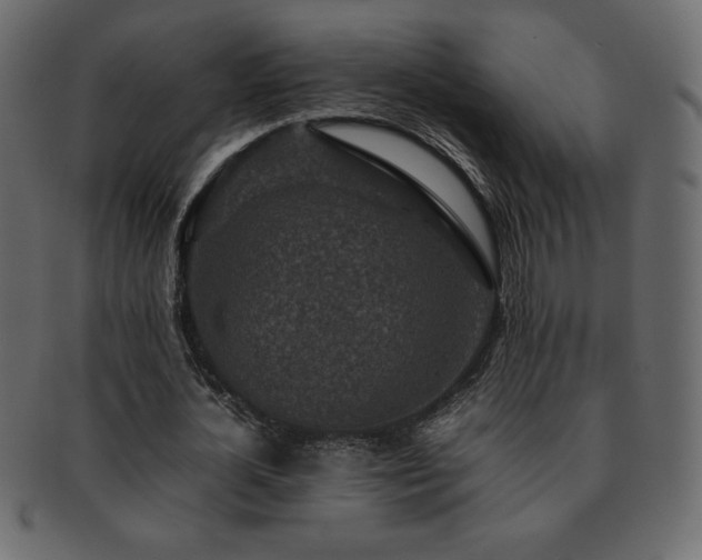 X0000093160724200709261508