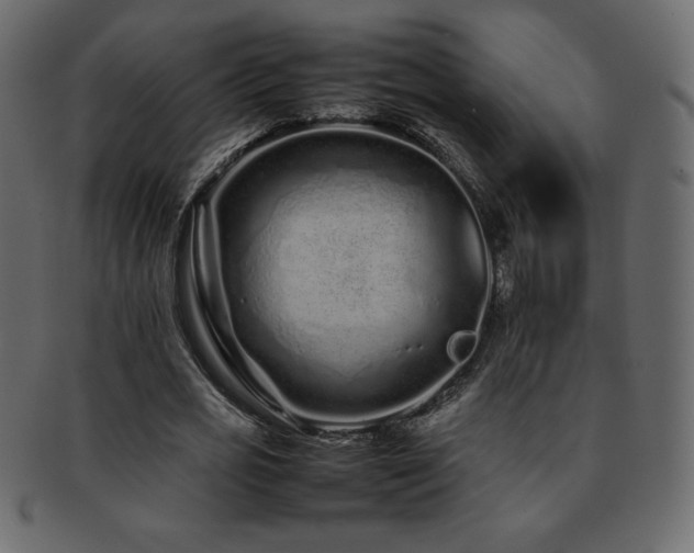 X0000093160725200709261508