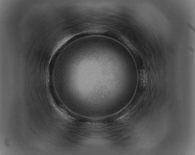X0000093160726200709261508