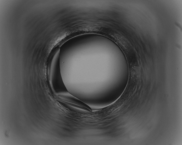 X0000093160727200709261508