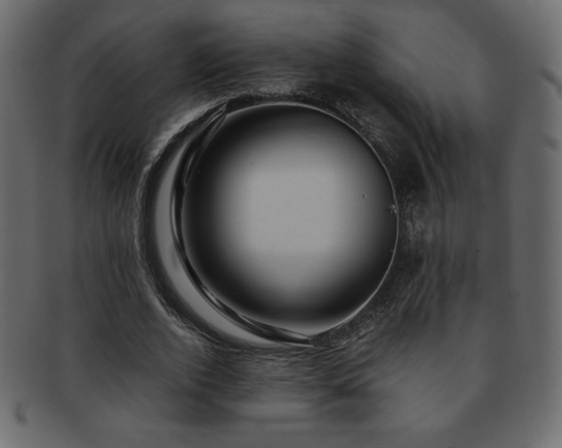 X0000093160728200709261508