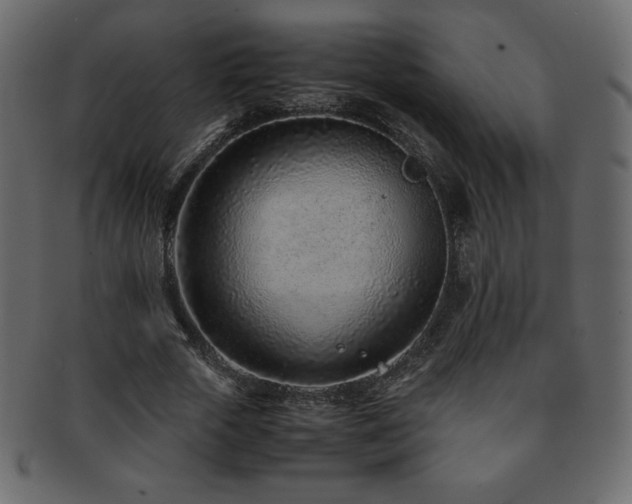 X0000093160729200709261508