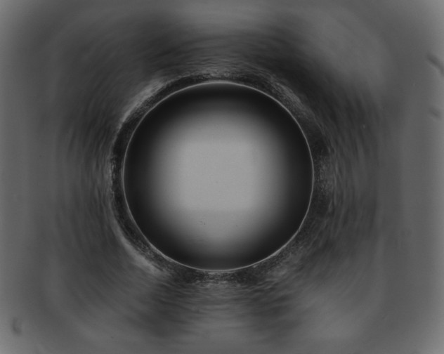 X0000093160730200709261508