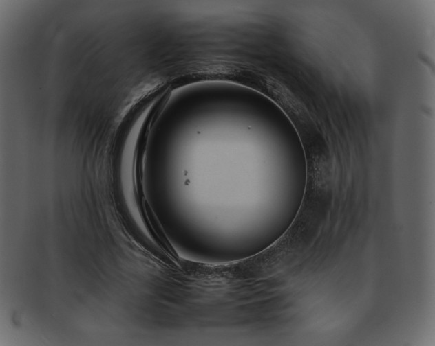 X0000093160731200709261508