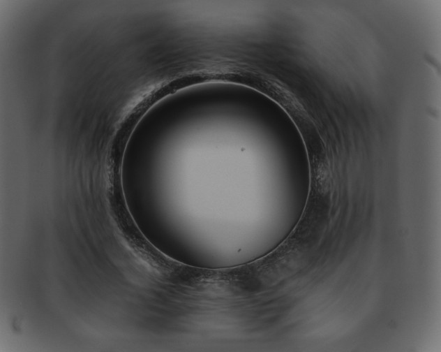 X0000093160732200709261508