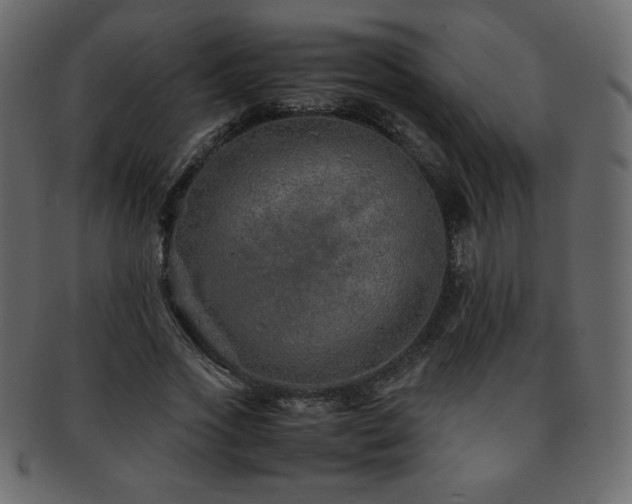 X0000093160733200709261508