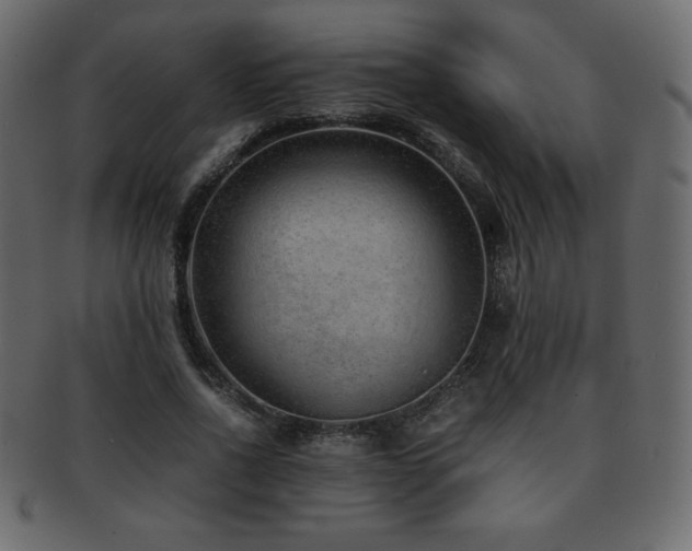 X0000093160734200709261508