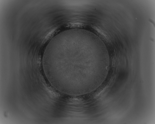 X0000093160737200709261508
