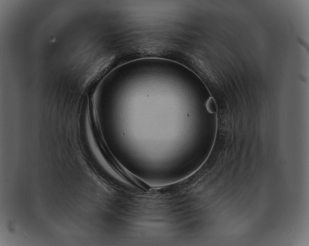 X0000093160738200709261508