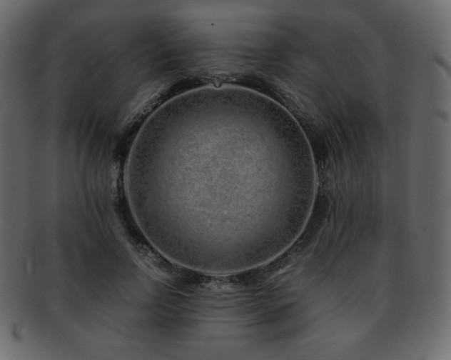 X0000093160742200709261509