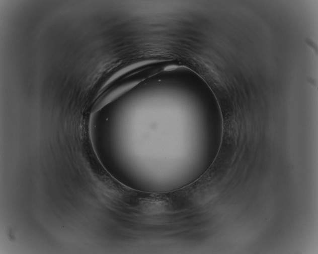 X0000093160743200709261509