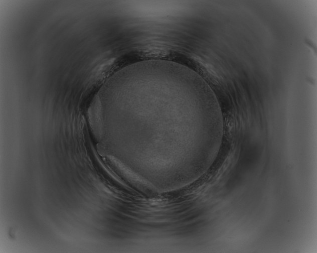X0000093160745200709261509