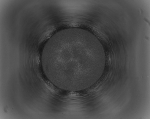 X0000093160746200709261509