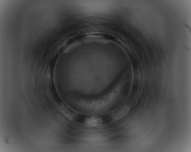 X0000093160754200709261509