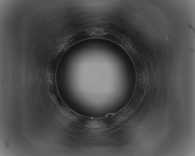 X0000093160755200709261509
