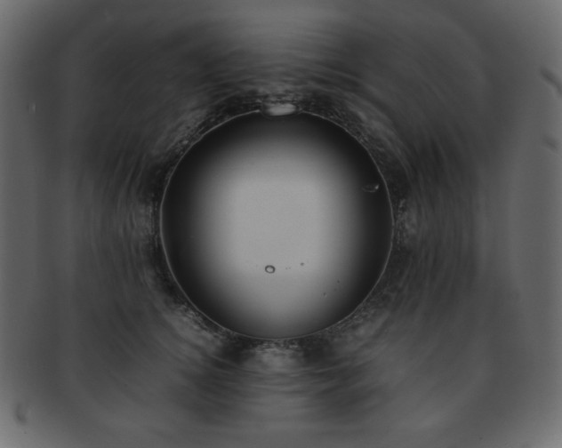 X0000093160756200709261509