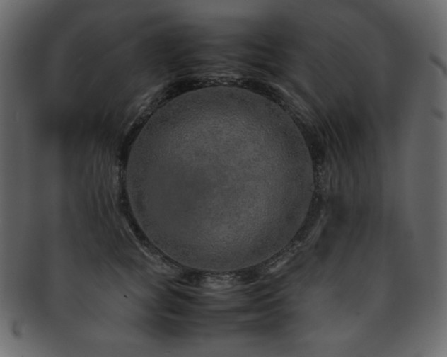 X0000093160757200709261509