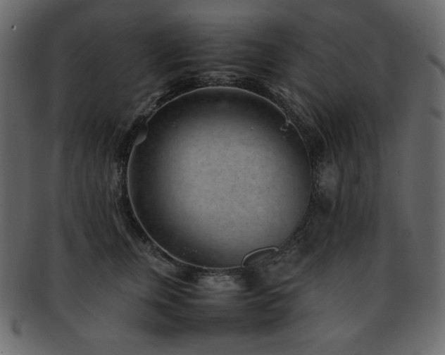 X0000093160759200709261509