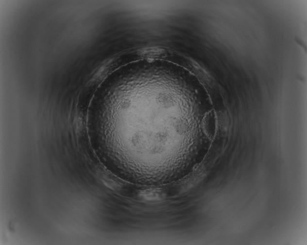 X0000093160761200709261509
