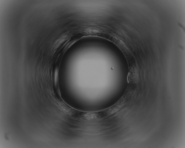 X0000093160762200709261509