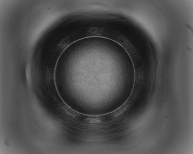 X0000093160765200709261509