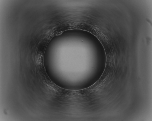 X0000093160770200709261508