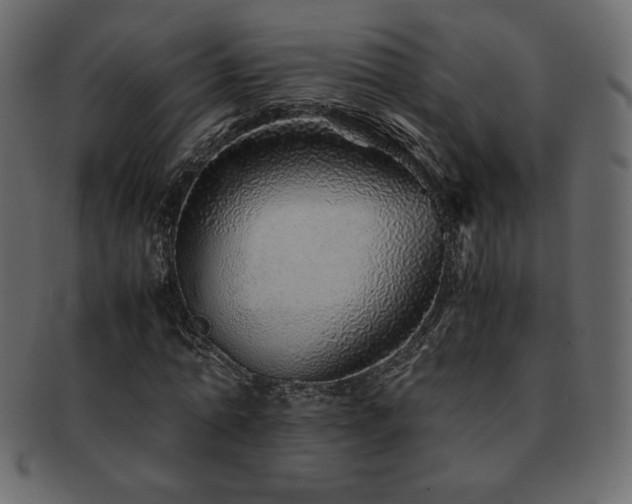 X0000093160774200709261508