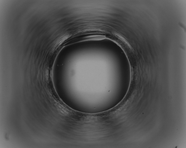 X0000093160777200709261508