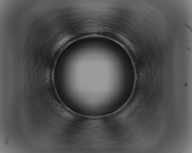 X0000093160778200709261508