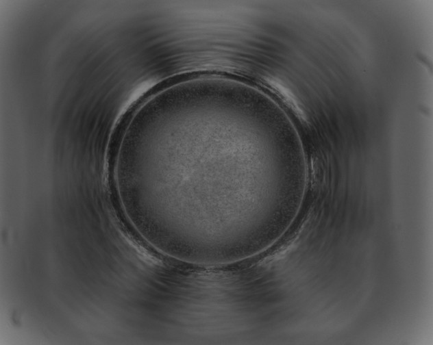 X0000093160780200709261508