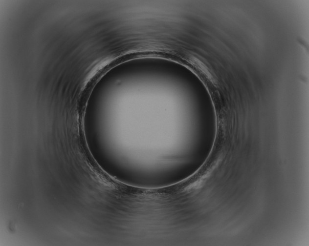 X0000093160781200709261508