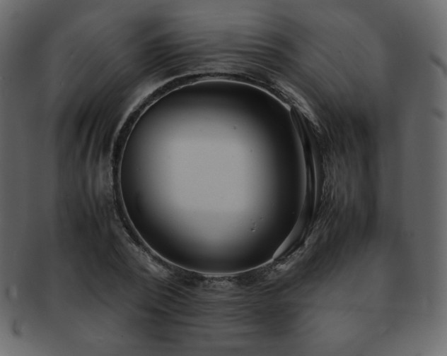 X0000093160784200709261508