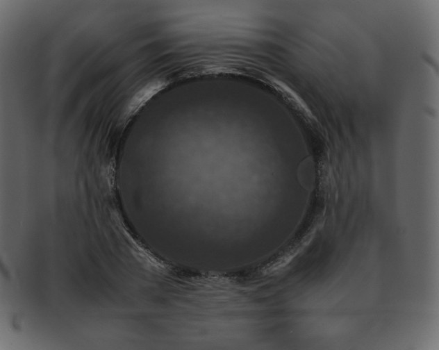 X0000093160785200709261508