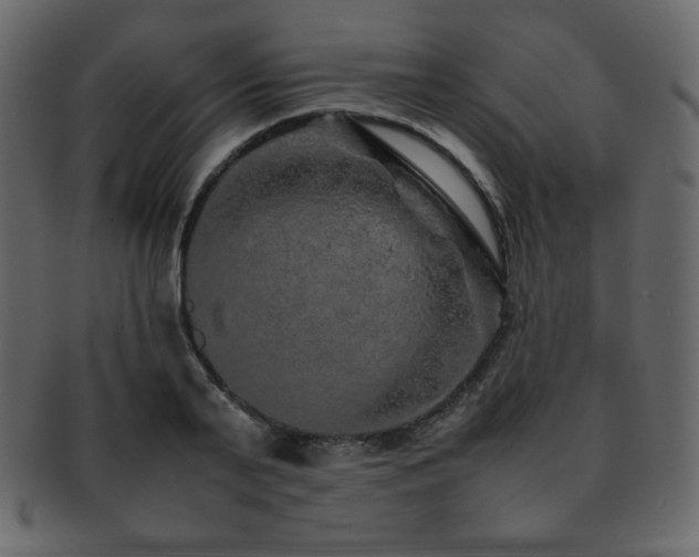 X0000093160791200709261508