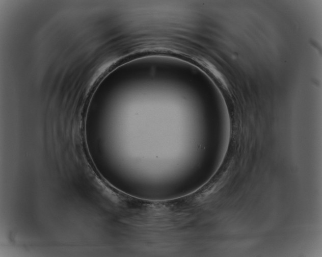 X0000093160799200709261508