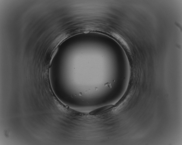 X0000093160801200709261508