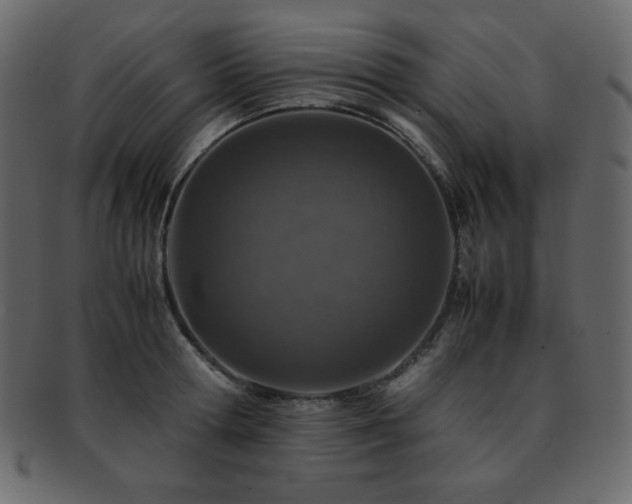 X0000093160802200709261508