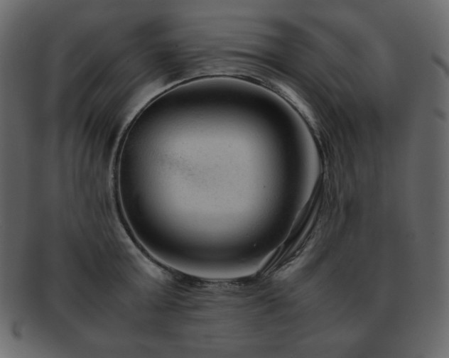 X0000093160803200709261508