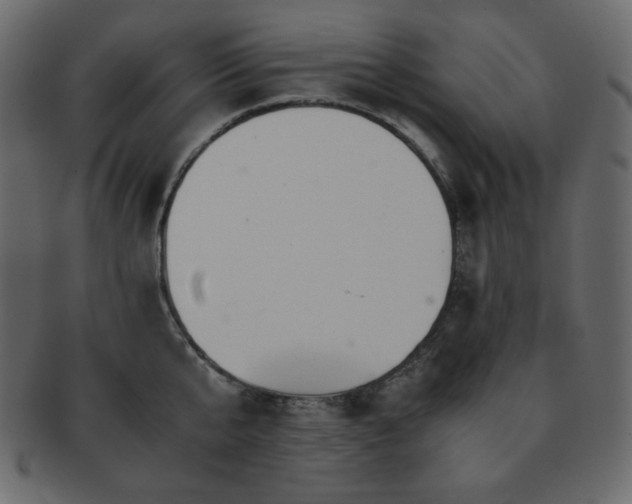 X0000093160807200709261508