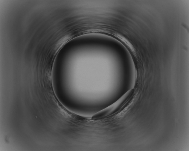 X0000093160809200709261508