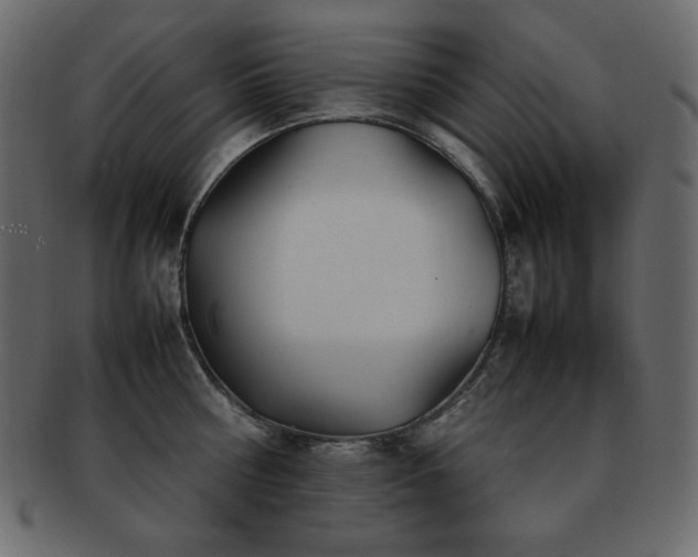 X0000093160810200709261508