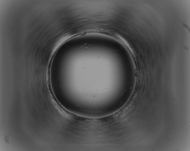X0000093160811200709261508