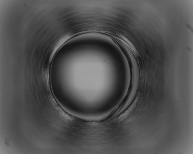 X0000093160812200709261508