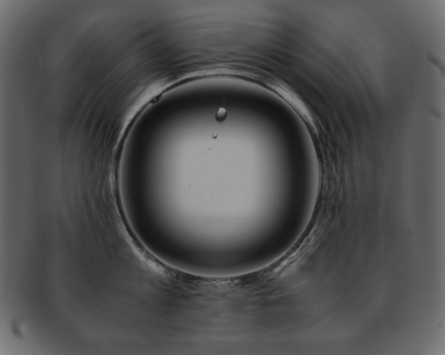 X0000093160813200709261508