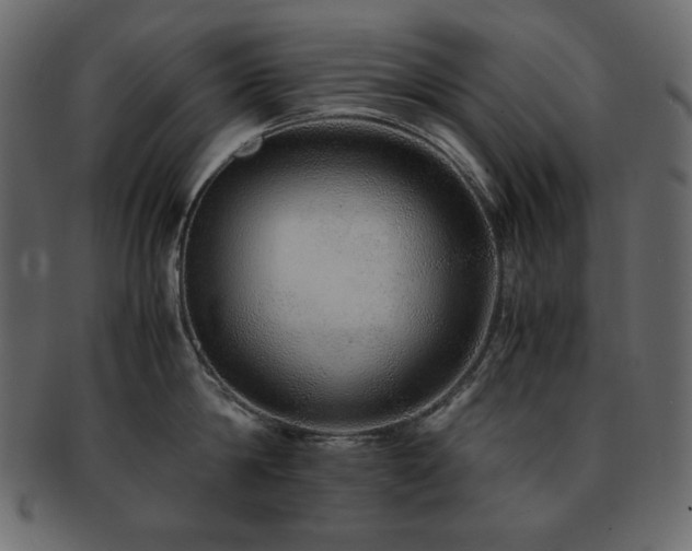 X0000093160814200709261508