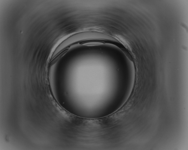 X0000093160816200709261508
